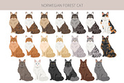 Norwegian Forest cat clipart, an Animal Illustration by pet design shop (Thumbnail 3 of 6)