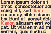 Kanon-Serif Font Family 20% OFF, a Sans Serif Font by ulndsgn (Thumbnail 8 of 10)
