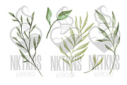 Greenery Watercolor Clipart, a Decorative Illustration by NKTKNS (Thumbnail 6 of 9)