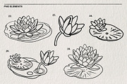 Set of water lilies and flowers PNG, a Decorative Illustration by LOKSKIH (Thumbnail 7 of 10)