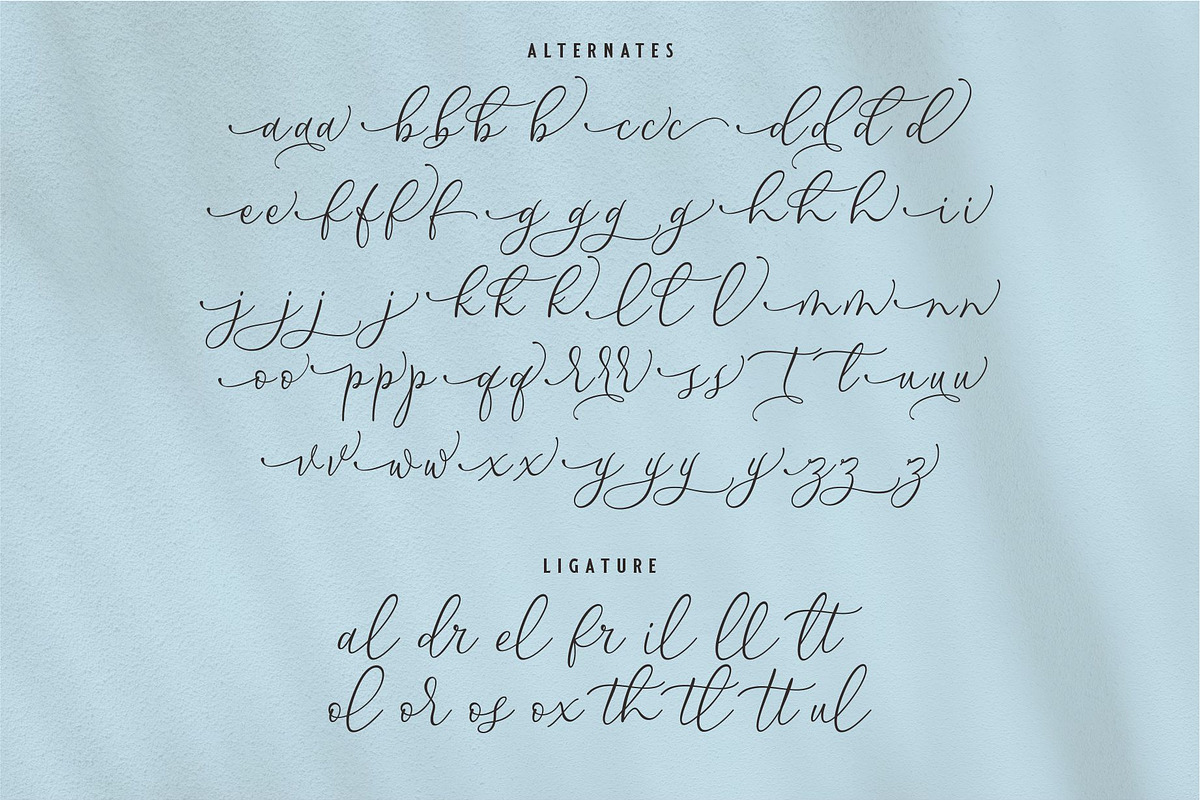 BANDEYRA | Handwriting Script, a Handwritten Font by Havinkpen (Photo 7 of 7)