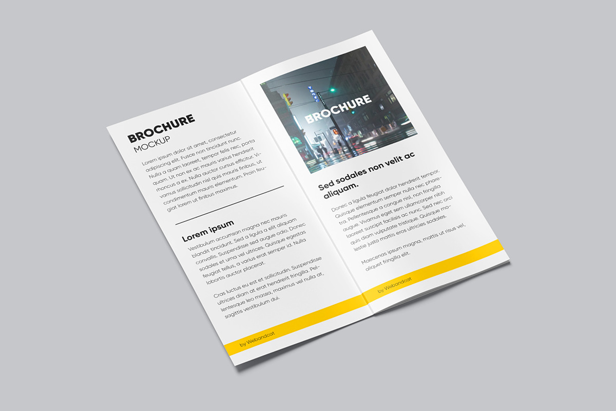 Brochure Mockup, a Books & Magazine Mockup by WebAndCat (Photo 8 of 9)