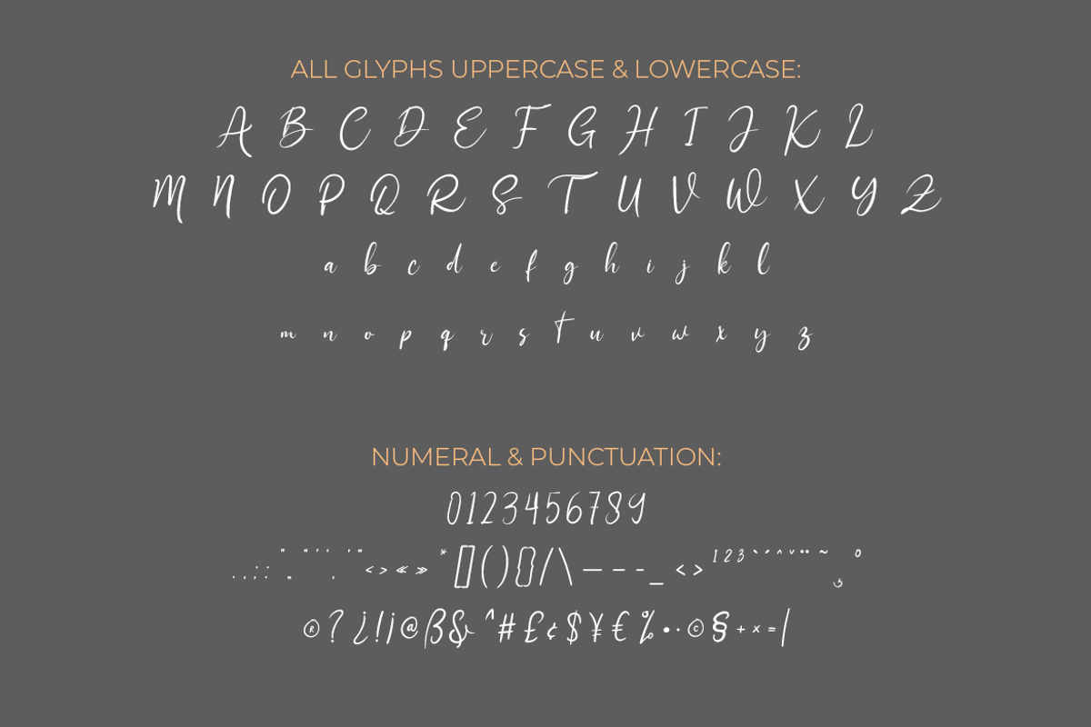 Sethasso, a Script Font by twinstd (Photo 9 of 11)