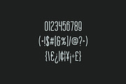 Braden Sans, a Sans Serif Font by Bart Wesolek (Thumbnail 4 of 6)