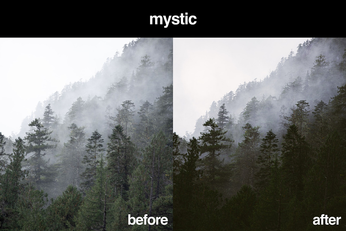 10 Dark & Moody Lightroom Presets, a Preset Add-On by Gridfiti (Photo 10 of 18)