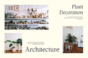 ED Lungwort, a Serif Font by Emyself Design (Thumbnail 10 of 12)