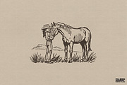 Vintage Sketch Cowgirl Petting A, an Object Graphic by SharpMarketplace (Thumbnail 1 of 4)
