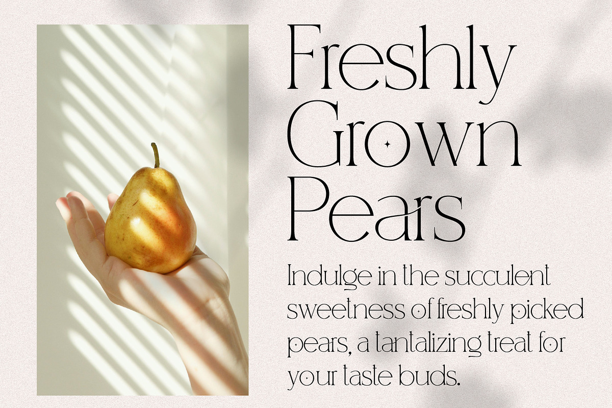 Enigma A Classy Ligatured Serif, a Serif Font by Prestige Artsy Studio (Photo 7 of 10)