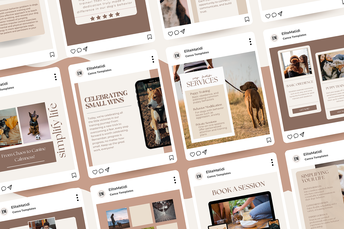 Dog Training Instagram Templates, a Social Media Template by EliteMatidi (Photo 8 of 8)