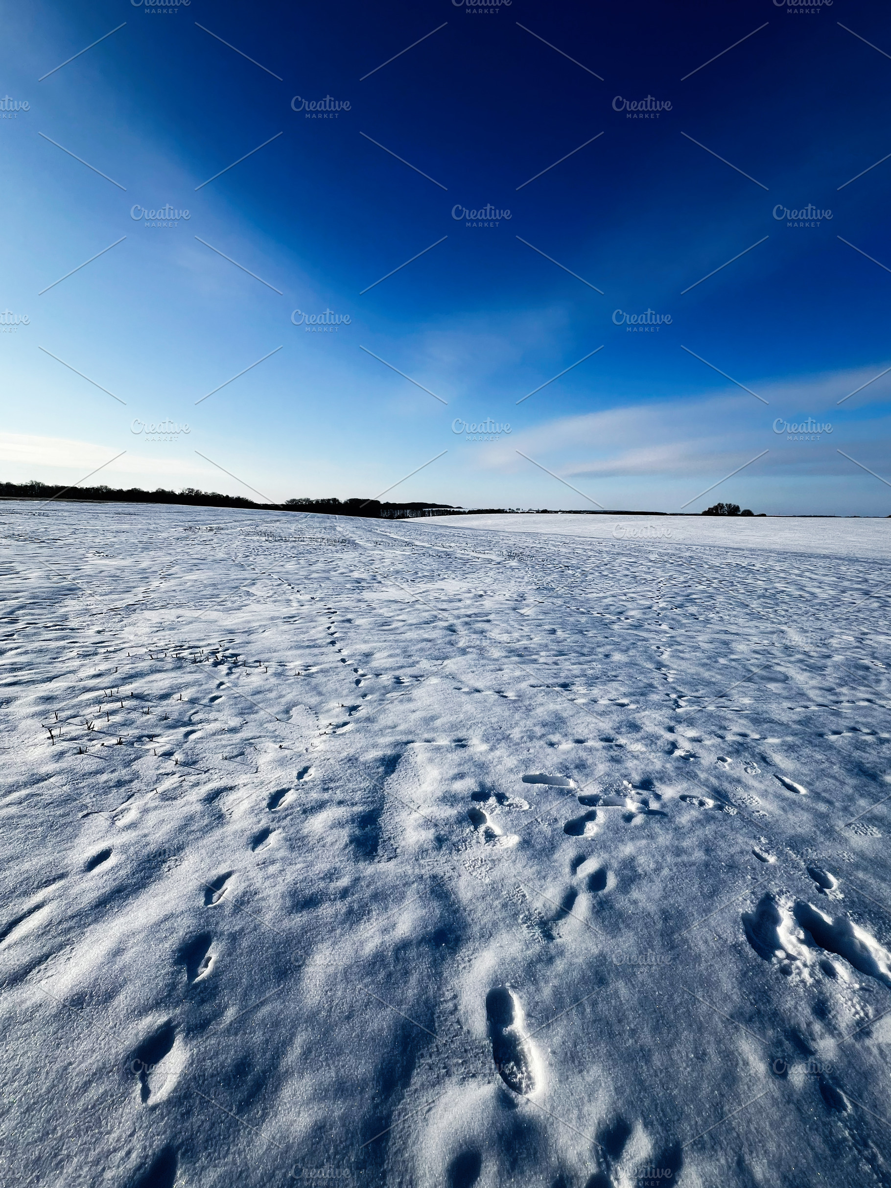 Snowy field under a blue sky with footprints across the open landscape, a Photo by AS photostudio