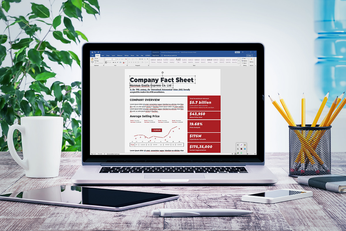 Company Fact Sheet, a Flyer Template by obayes (Photo 4 of 4)