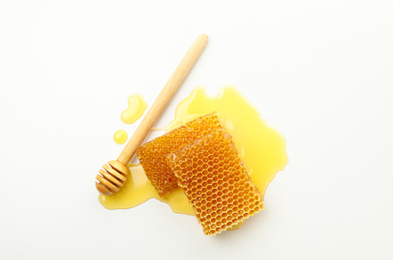 Dipper and honeycombs on white background, top view, a Food & Drink Photo by AtlasStudio