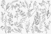 Line Art Floral Clipart, a Decorative Illustration by AW Studios (Thumbnail 3 of 11)