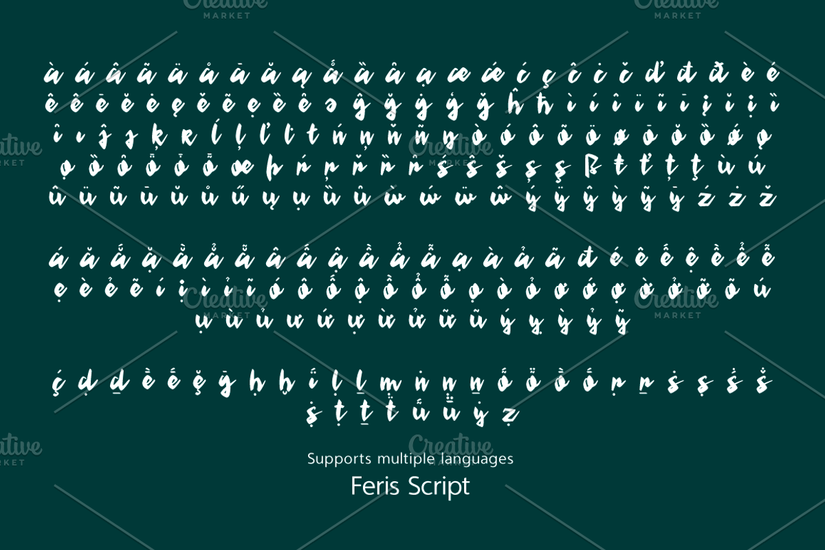 Feris Script preview 4