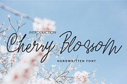 Cherry Blossom, a Script Font by Megi Satyo Widodo (Thumbnail 1 of 10)