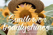 Twilight Lantern Modern Handwritten, a Script Font by stylishtype.co (Thumbnail 18 of 20)
