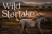 Asteris, a Serif Font by din-studio.com (Thumbnail 3 of 11)