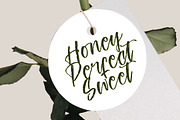 Ungkar Scripta Modern Brush Font, a Script Font by stylishtype.co (Thumbnail 6 of 20)