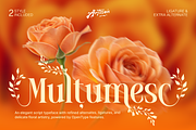 Mowina - Beautiful Floral, a Serif Font by Artisan Themes (Thumbnail 12 of 12)