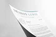 Professional Resume Format Example, a Resume Template by HIRED Design Studio (Thumbnail 9 of 18)