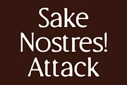 CS Briseis Drawn, a Serif Font by Craft Supply Co. (Thumbnail 2 of 8)