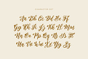 Fermont Script, a Script Font by etigletters (Thumbnail 6 of 7)