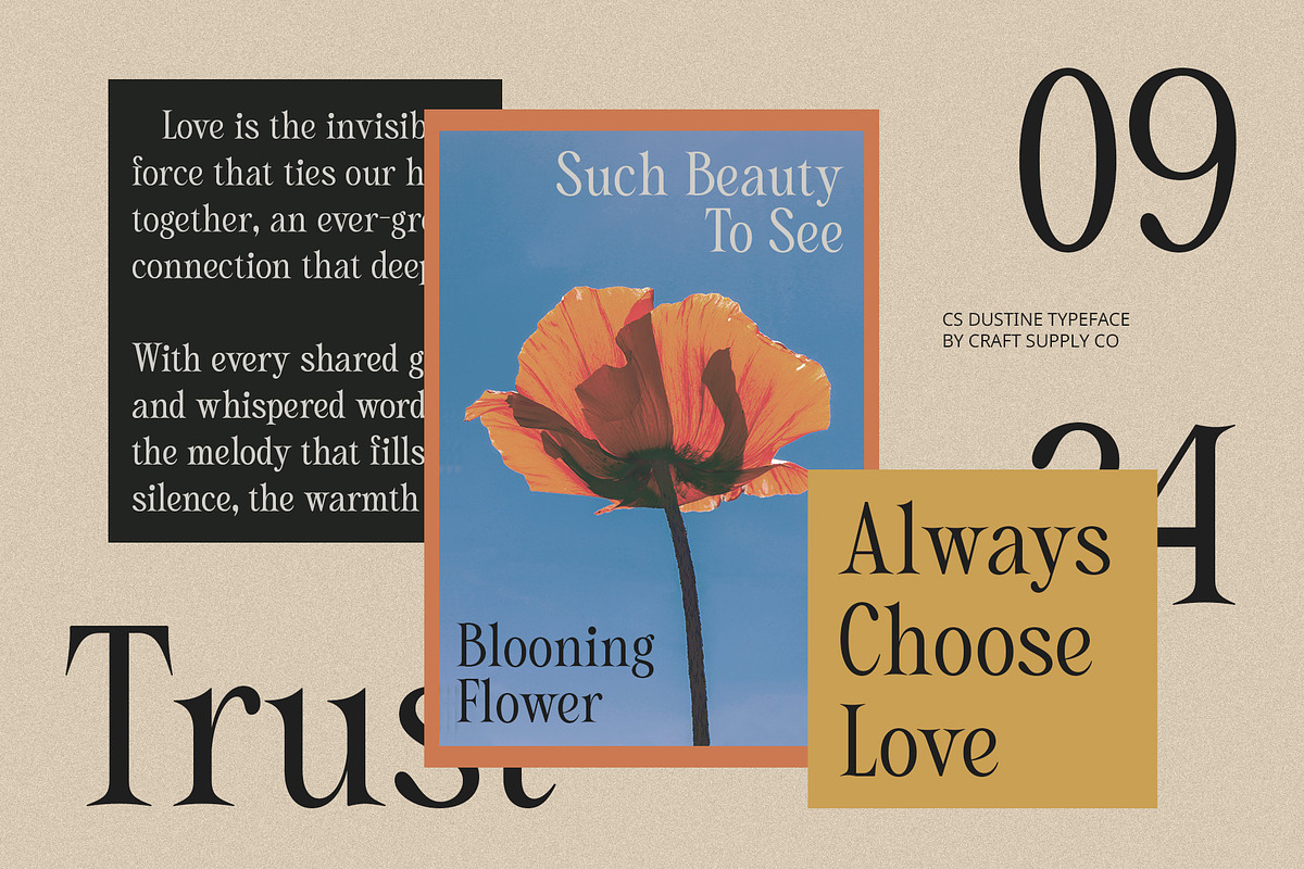 CS Dustine – Elegant Font, a Serif Font by Craft Supply Co. (Photo 3 of 8)
