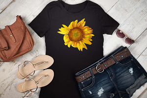 Summer Sunflowers Illustrations