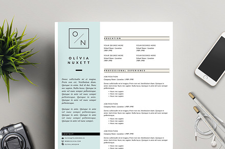 Minimalist Resume for MS Word