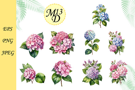 Set of 18 watercolor with hortensia