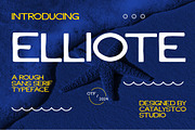 Elliote Rough Sans Serif Font, a Sans Serif Font by catalystco.studio (Thumbnail 1 of 7)
