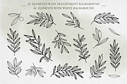 Olive branches, a Food Illustration by Onceli*art (Thumbnail 3 of 10)