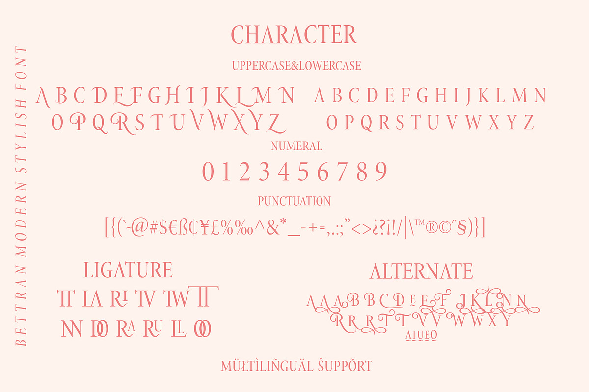 BETTRAN, a Serif Font by INKSUN™ (Photo 4 of 9)