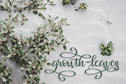 Muliana script, a Script Font by Zulkhairi Lettering (Thumbnail 5 of 16)