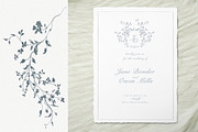 Floral swirls clipart, a Decorative Illustration by Sensual Art (Thumbnail 7 of 8)