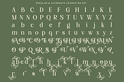 Avoleina - Luxury Serif Font, a Serif Font by RagamKata (Thumbnail 9 of 10)