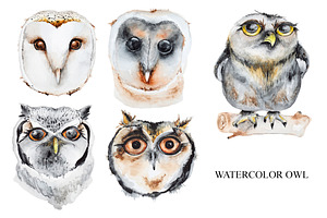 Set Of Watercolor Owls