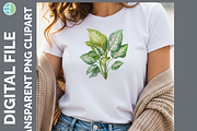 Houseplant Illustration Bundle, PNG, a Decorative Illustration by Enliven Designs (Thumbnail 8 of 8)