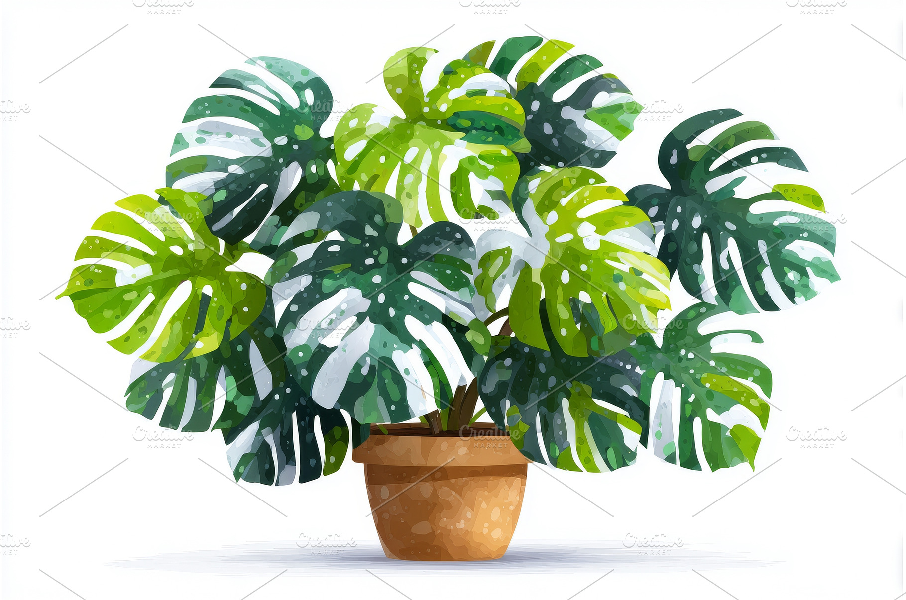 The Monstera Deliciosa plant is, a Nature Photo by ZinetroN
