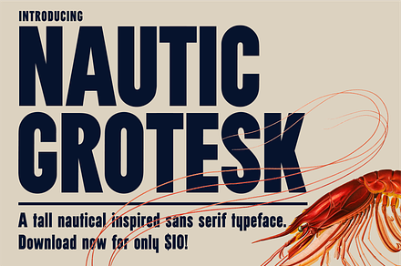 Nautic Grotesk - Modern Display Font