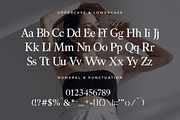 Lucerra – Modern Serif Fashion Font, a Serif Font by overlaytemplates (Thumbnail 4 of 5)