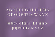 Gafitte - Modern Serif Font, a Serif Font by Aqeel_Art (Thumbnail 9 of 12)