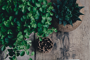 Flower wreaths and branches, a Decorative Illustration by HmarkaShop (Thumbnail 6 of 6)