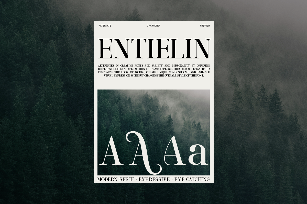 Entielin Decorative Serif Font, a Serif Font by Rasio Studio (Photo 9 of 9)