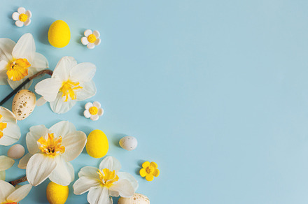Happy Easter! Easter eggs and yellow daffodils flowers flat lay, a Holiday Photo by Sonjachni