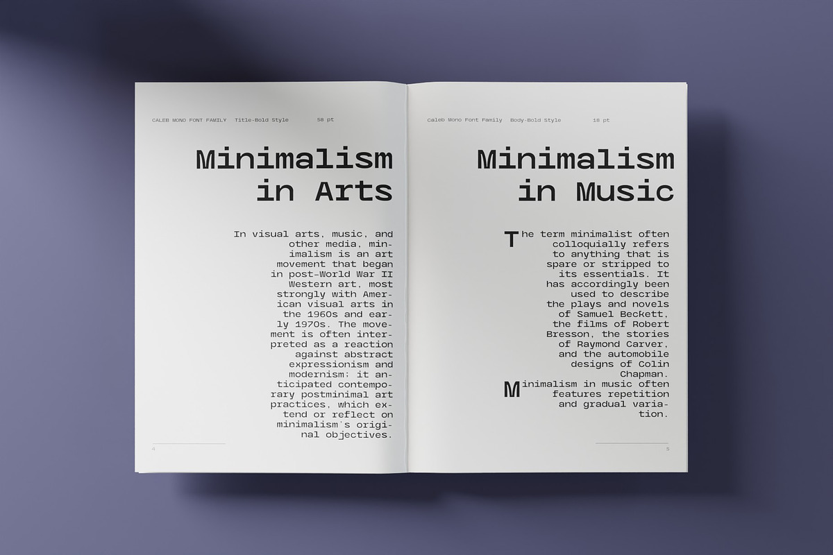Caleb Mono Font Family, a Sans Serif Font by Ryul Davidson (Photo 15 of 19)