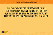 PM Aurora Casual Serif Font, a Serif Font by Paper Moon Graphic Supply (Thumbnail 5 of 18)
