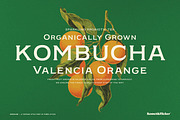 Germaine - A Vintage Style Font, a Serif Font by Komet & Flicker (Thumbnail 12 of 15)