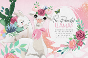 Oh La La Llama, an Animal Illustration by Anna Babich (Thumbnail 2 of 9)