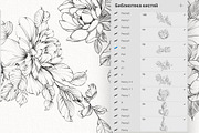 Procreate flower stamp, peony brush, a Brush Add-On by AnnaPolitmerskaja (Thumbnail 2 of 5)